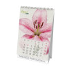 kalendarz biurkowy - SEEDS CALENDAR